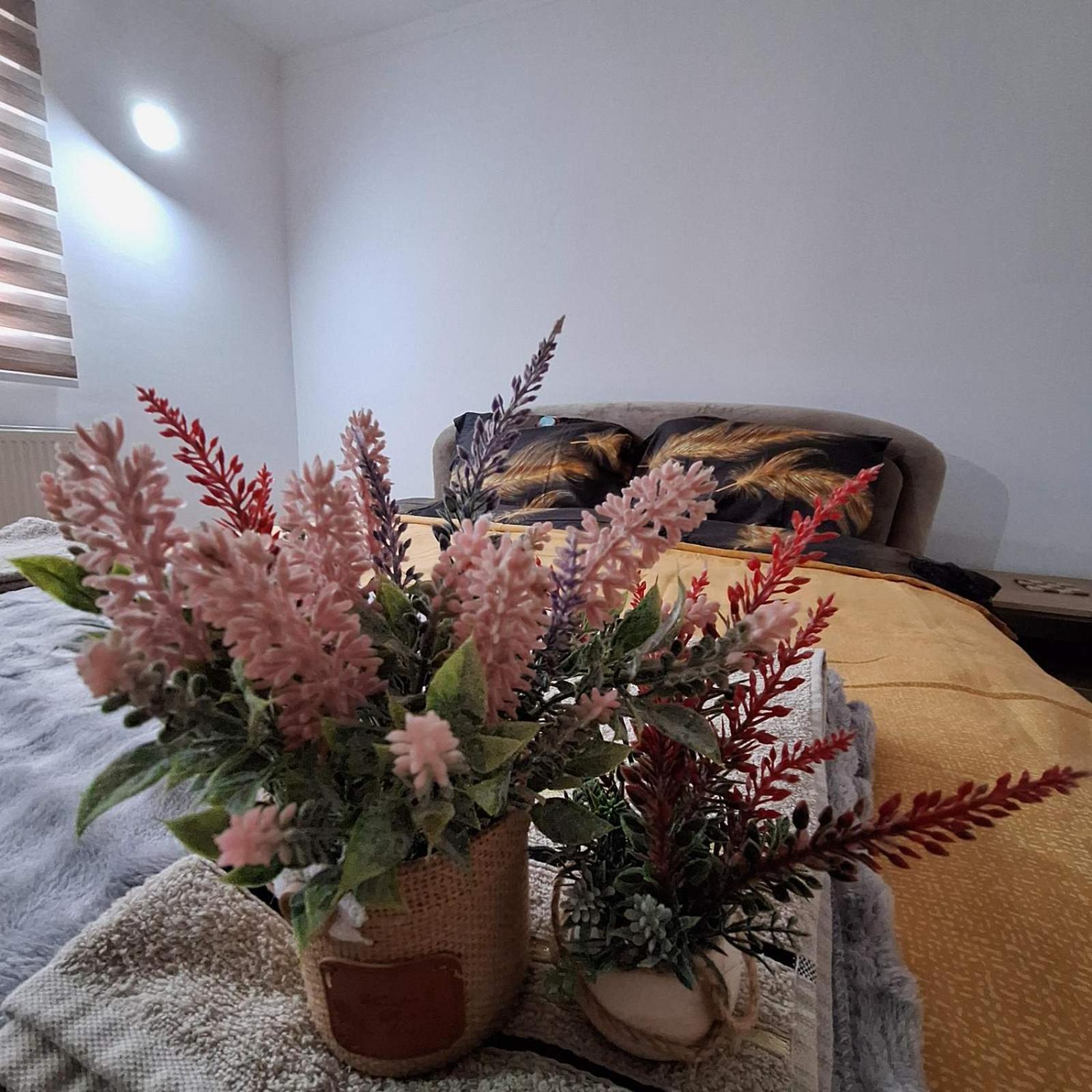 Apartment "Mira" 포차 외부 사진